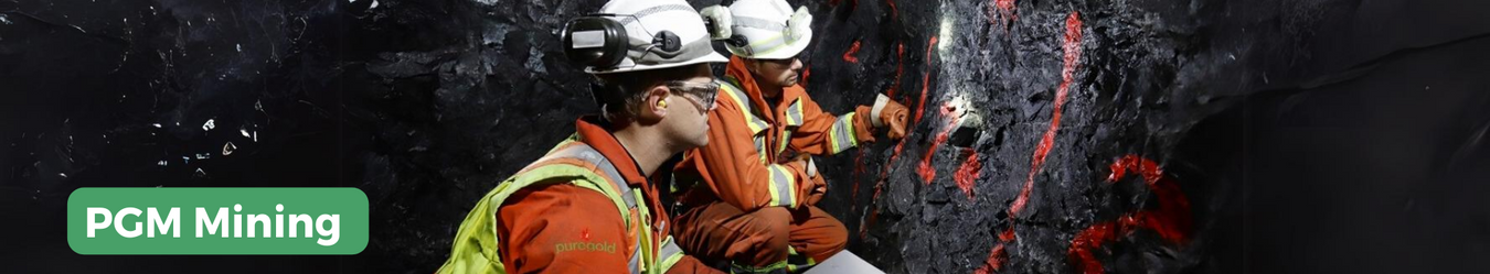 Rent - PGM Mining Rental Collection