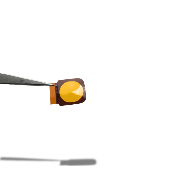 Accessories - Evident/Olympus - Kapton Windows (10 Count)
