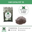 Car Catalyst 10